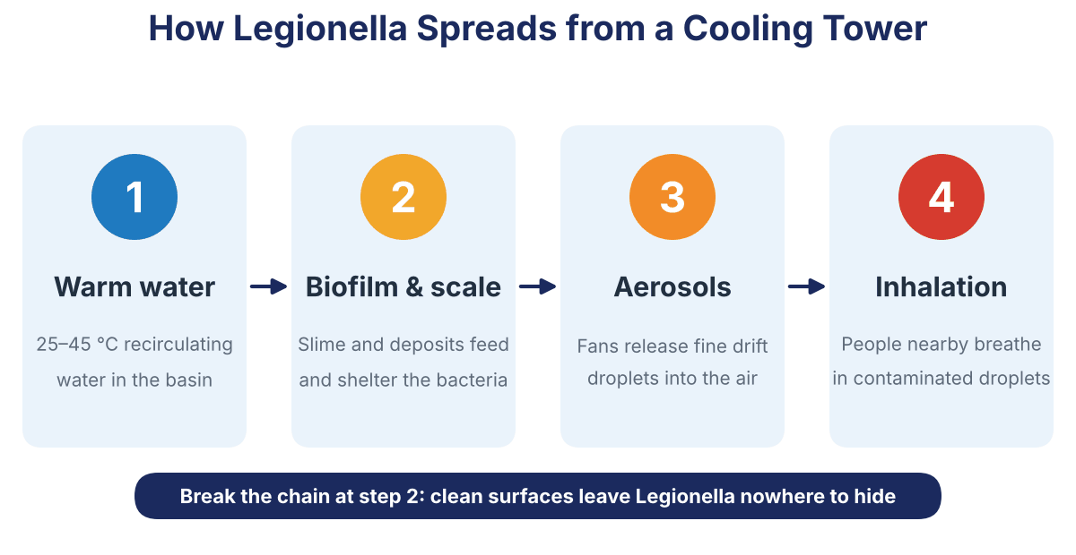 Four-step diagram of how Legionella spreads from a cooling tower: warm water, biofilm and scale, aerosols, inhalation