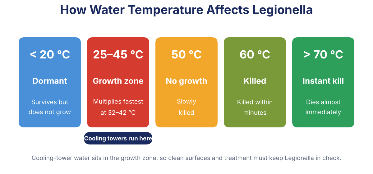 Chart of Legionella behaviour by water temperature: dormant below 20 °C, grows at 25 to 45 °C, no growth at 50 °C, killed at 60 °C, instant kill above 70 °C